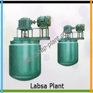 Labsa Plant Manufacturer in India