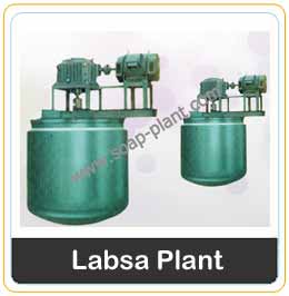 Labsa Plant